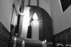 DSC05929